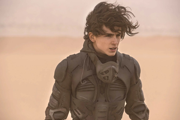 Timothee Chalamet pic #1276483