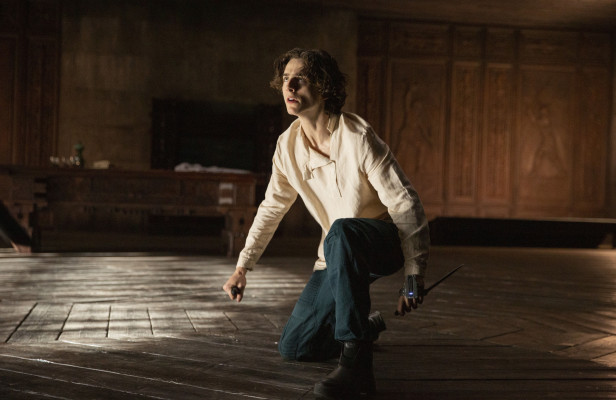Timothee Chalamet pic #1276478
