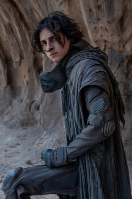 Timothee Chalamet pic #1276479