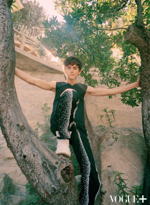 Timothee Chalamet pic #1316369