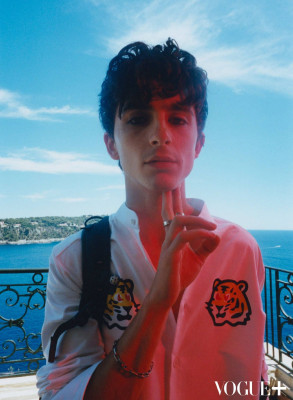 Timothee Chalamet pic #1316371