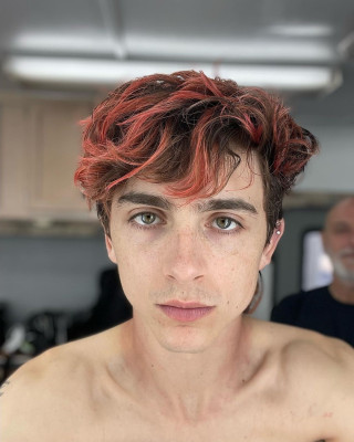 photo 11 in Chalamet gallery [id1326310] 2023-04-20 00:00:00