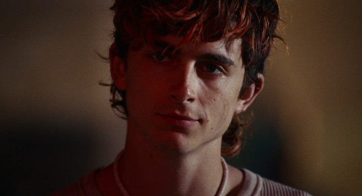 Timothee Chalamet pic #1320694
