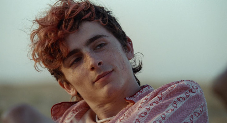 Timothee Chalamet pic #1320691