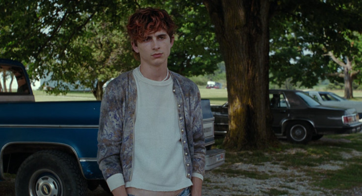 Timothee Chalamet pic #1320690