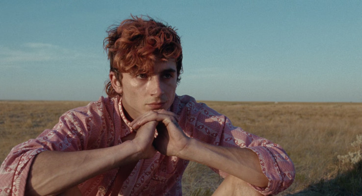 Timothee Chalamet pic #1322418
