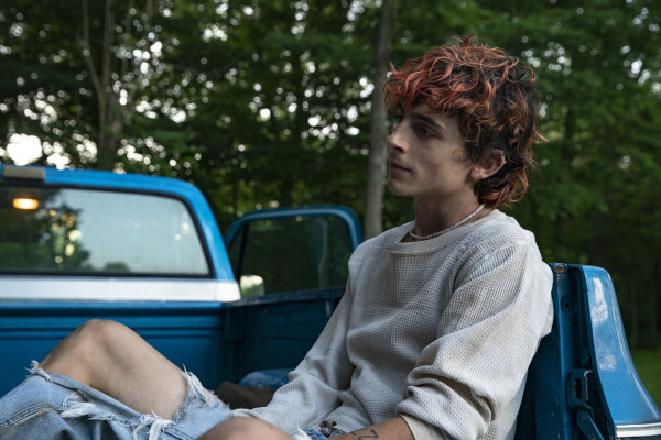 Timothee Chalamet pic #1315735
