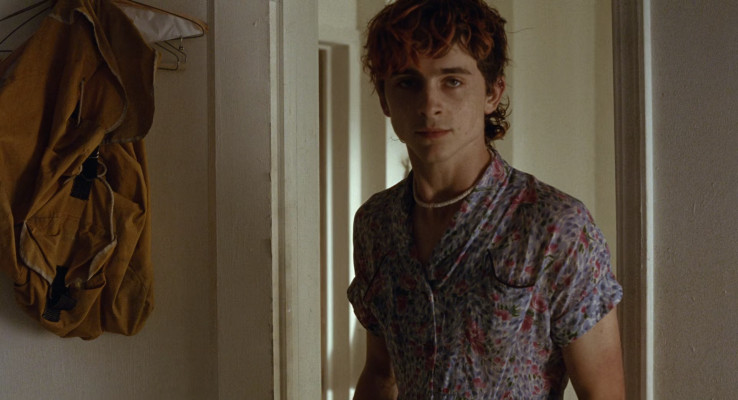 Timothee Chalamet pic #1326307