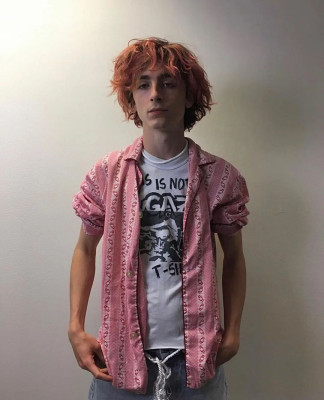 Timothee Chalamet pic #1326311