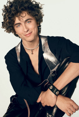 Timothee Chalamet pic #1312176