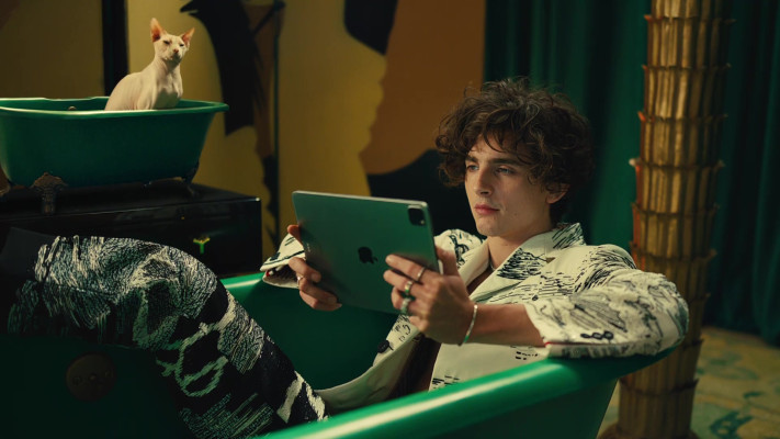 Timothee Chalamet pic #1322606