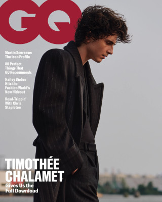 Timothee Chalamet pic #1341143