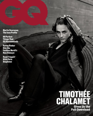 Timothee Chalamet pic #1341140