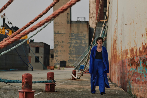Timothee Chalamet pic #1341139