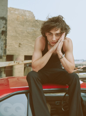 photo 27 in Timothee Chalamet gallery [id1337496] 2023-11-24 00:00:00