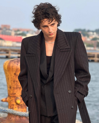Timothee Chalamet pic #1338728