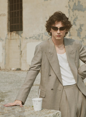 Timothee Chalamet pic #1338735