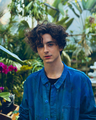 Timothee Chalamet pic #1321916