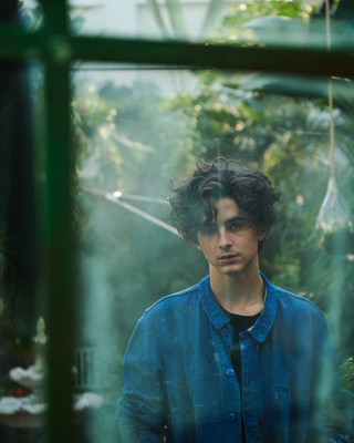 Timothee Chalamet pic #1329620