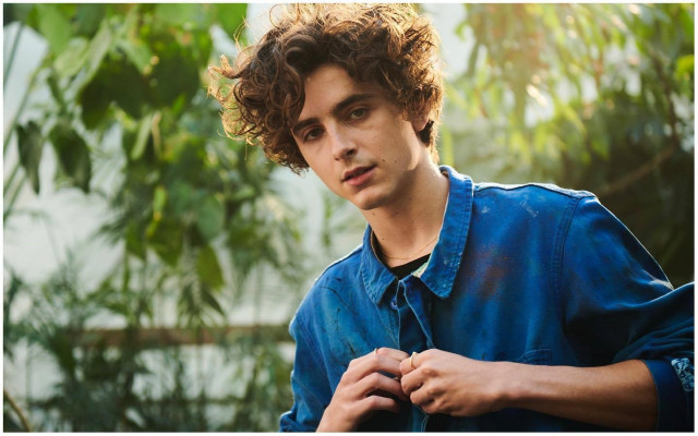 Timothee Chalamet pic #1329622