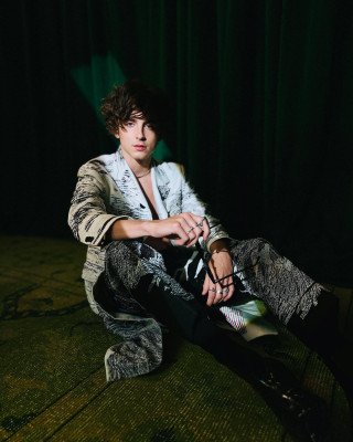 Timothee Chalamet pic #1321915