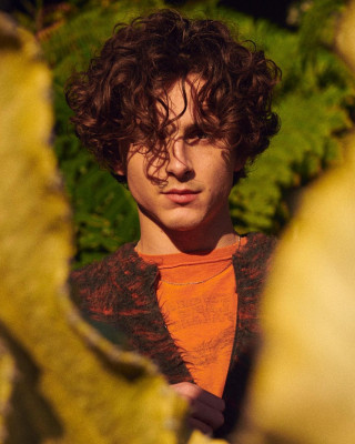 Timothee Chalamet pic #1322695