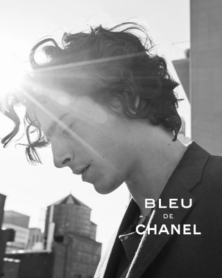 photo 15 in Timothee Chalamet gallery [id1371194] 2025-05-09 00:00:00
