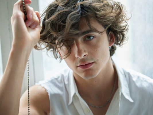 Timothee Chalamet pic #1328669