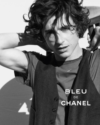 photo 16 in Chalamet gallery [id1371193] 2025-05-09 00:00:00