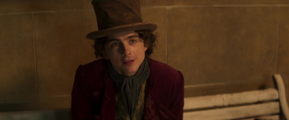photo 21 in Chalamet gallery [id1351244] 2024-06-01 00:00:00