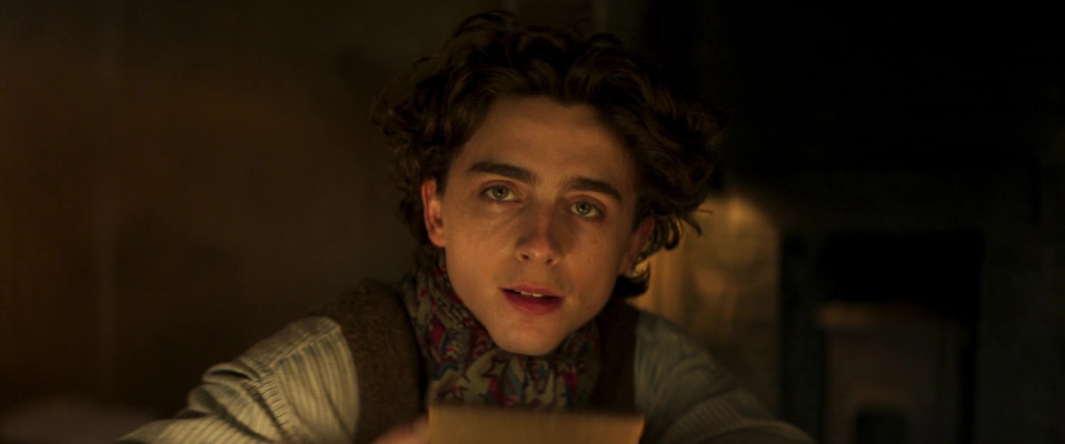 photo 20 in Chalamet gallery [id1351245] 2024-06-01 00:00:00