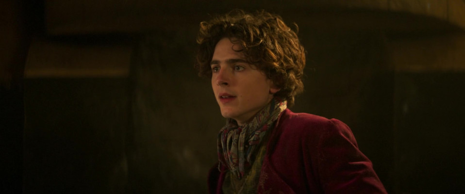 photo 22 in Timothee Chalamet gallery [id1351243] 2024-06-01 00:00:00