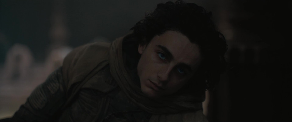 photo 25 in Timothee Chalamet gallery [id1350980] 2024-05-30 00:00:00
