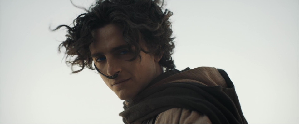 photo 12 in Timothee Chalamet gallery [id1352484] 2024-06-25 00:00:00