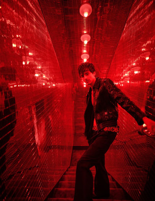 Timothee Chalamet pic #1368950