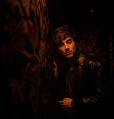 Timothee Chalamet pic #1368948