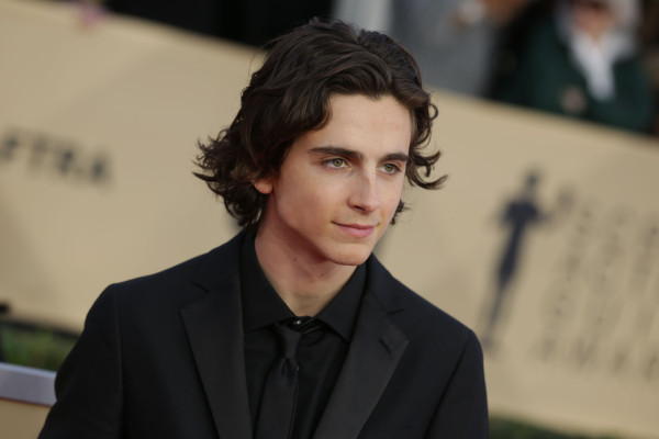 Timothee Chalamet pic #1309265