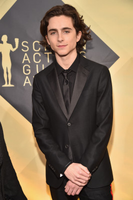 Timothee Chalamet pic #1309263