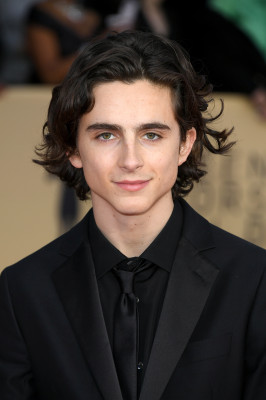 Timothee Chalamet pic #1309260
