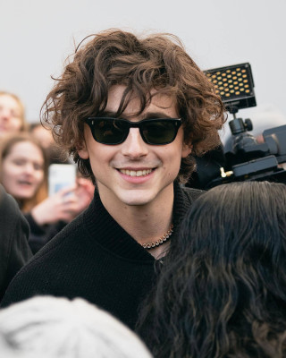 Timothee Chalamet pic #1329914