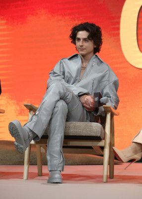 photo 17 in Timothee gallery [id1354694] 2024-07-31 00:00:00