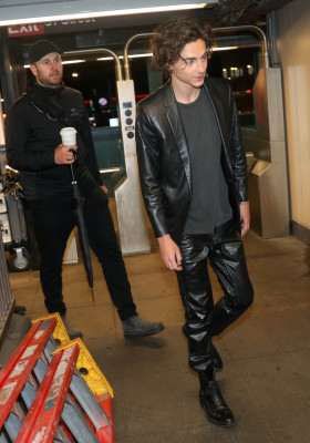 Timothee Chalamet pic #1331257