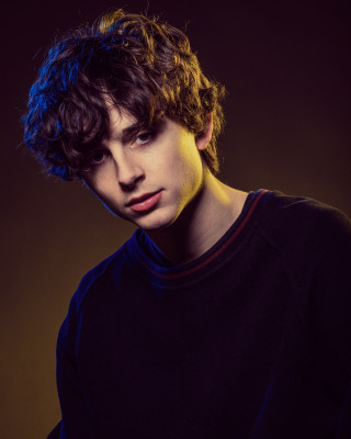 Timothee Chalamet pic #1309755