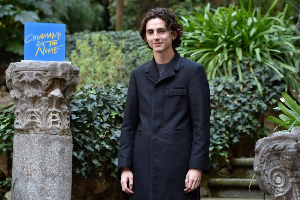 Timothee Chalamet pic #1303397