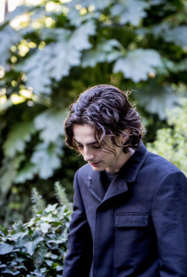 Timothee Chalamet pic #1280419
