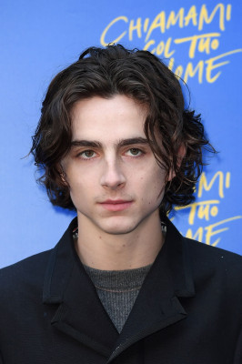 Timothee Chalamet pic #1279484