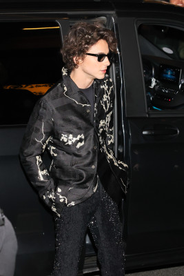 Timothee Chalamet pic #1356278