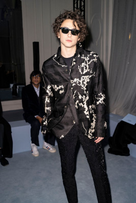 Timothee Chalamet pic #1322028