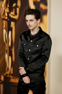 Timothee Chalamet pic #1369793