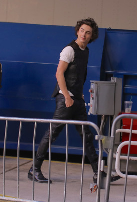 Timothee Chalamet pic #1327551